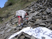 Colle delle Finestre 2005 1 50